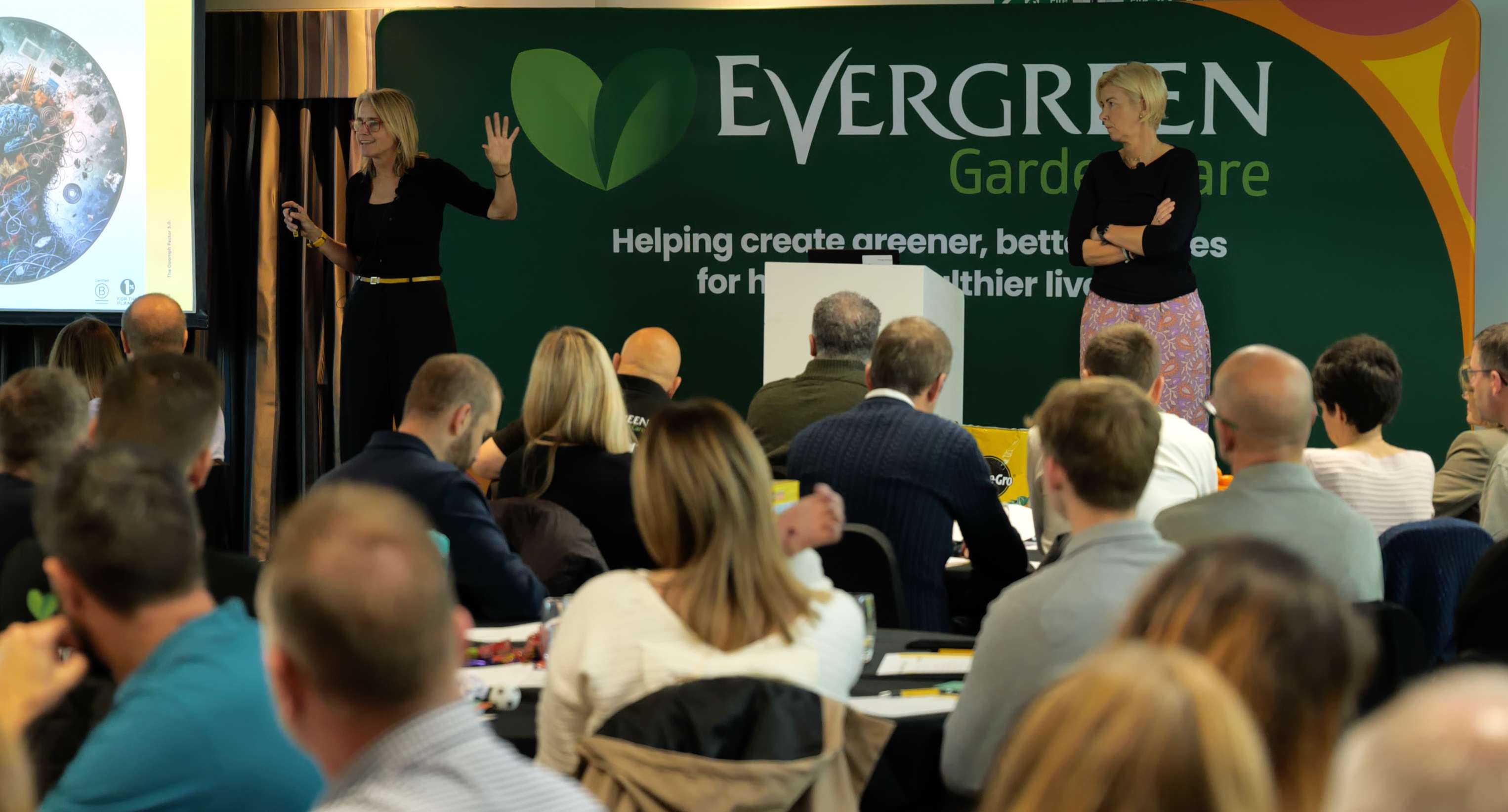 Evergreen Our Brains are full